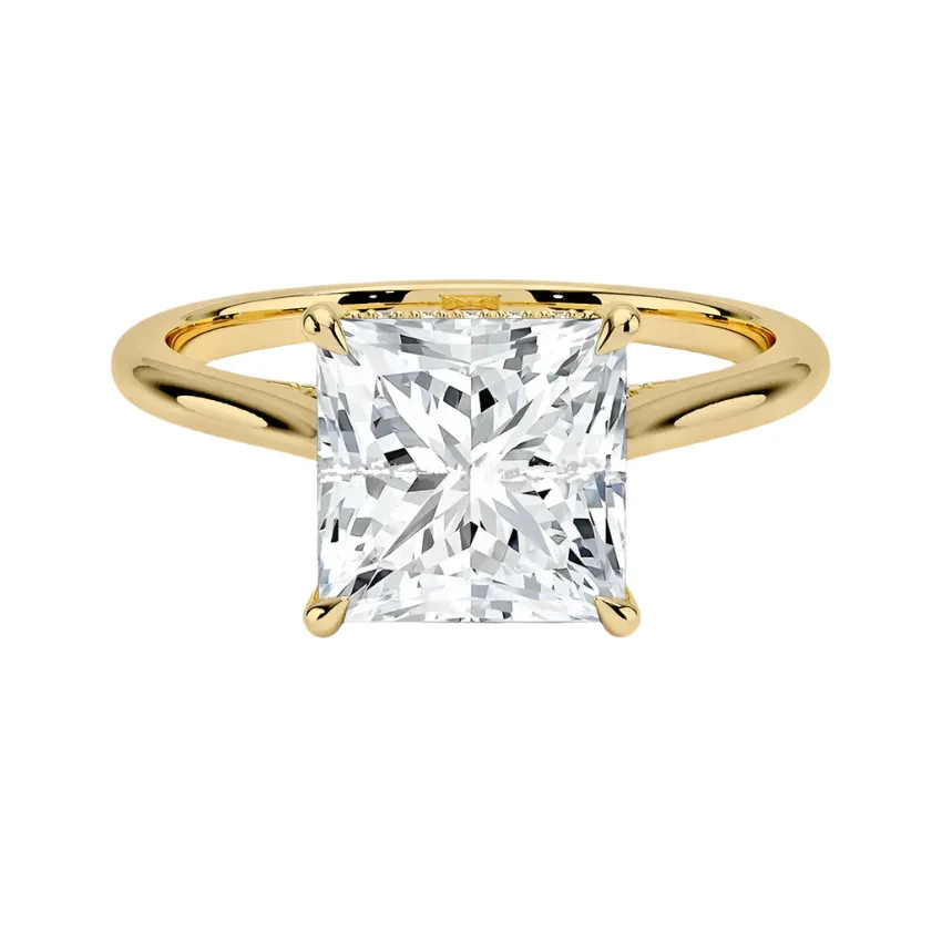 Princess Cut Solitaire Engagement Ring With Hidden Halo | ApolloGem Cape Town