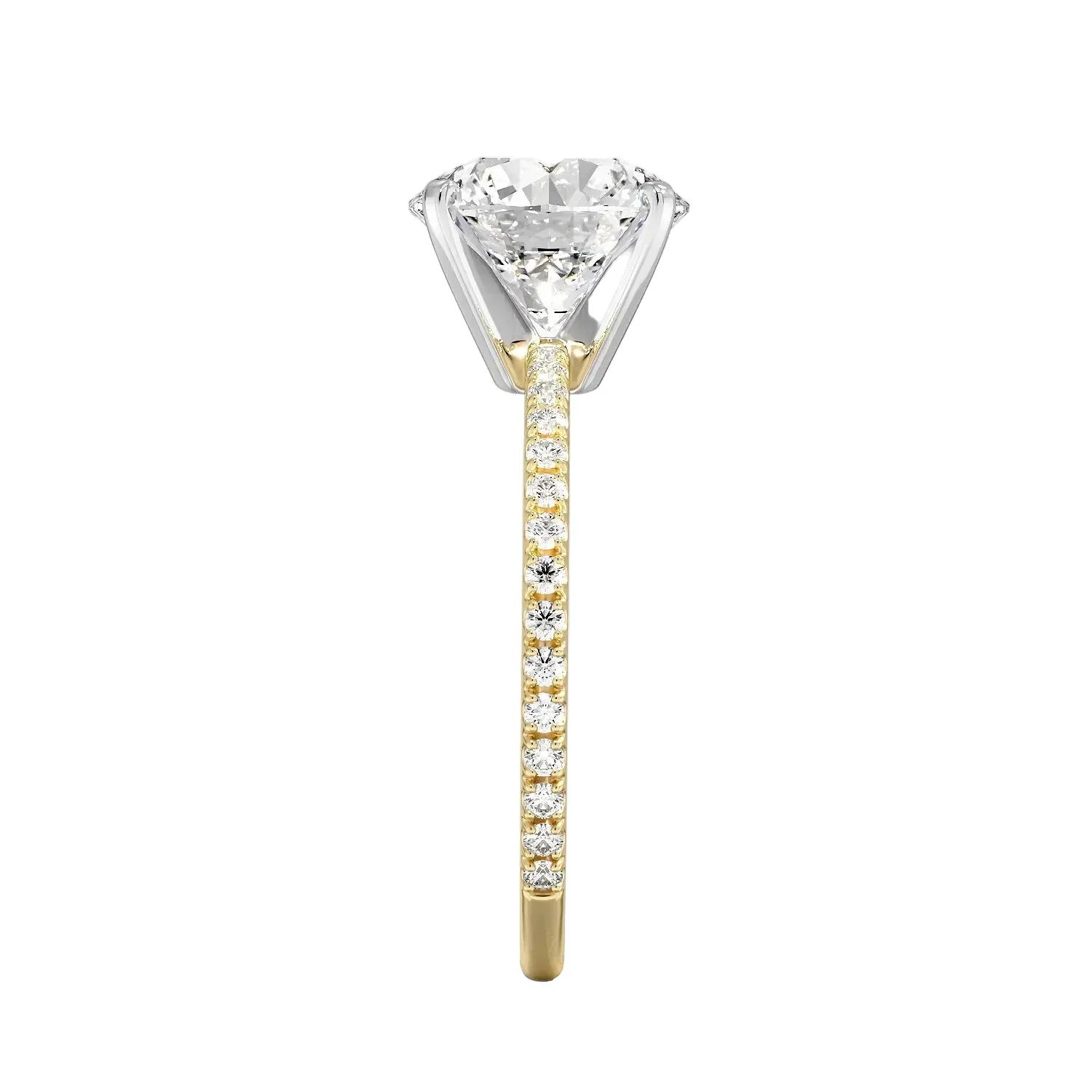 The Round Two-Tone Sculpted Solitaire – Ice-Prong Band - Image 3